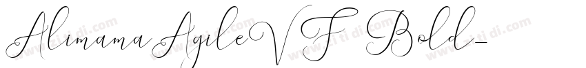 AlimamaAgileVF Bold字体转换